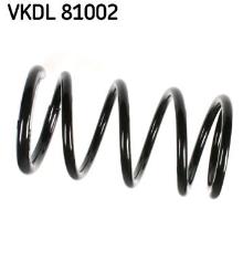SKF VKDL 81002